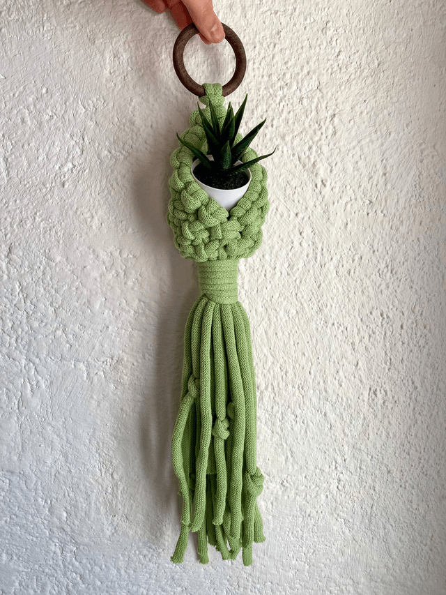 Petit Panier Suspendu