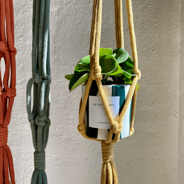 Porte plantes 