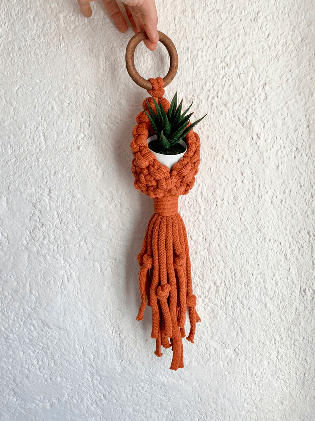 Petit Panier Suspendu