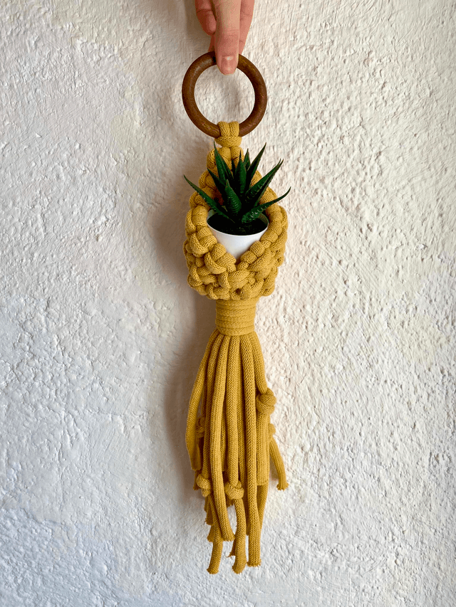 Petit Panier Suspendu